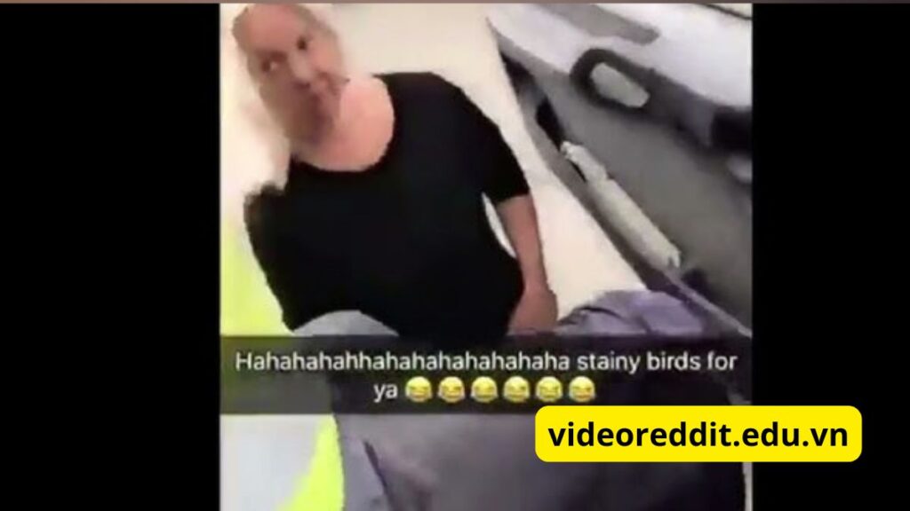 Stainy Bird Video Viral Twitter Reddit