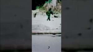 1967 bigfoot video