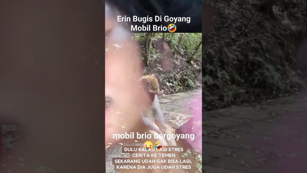 Erin bugis leaked full video