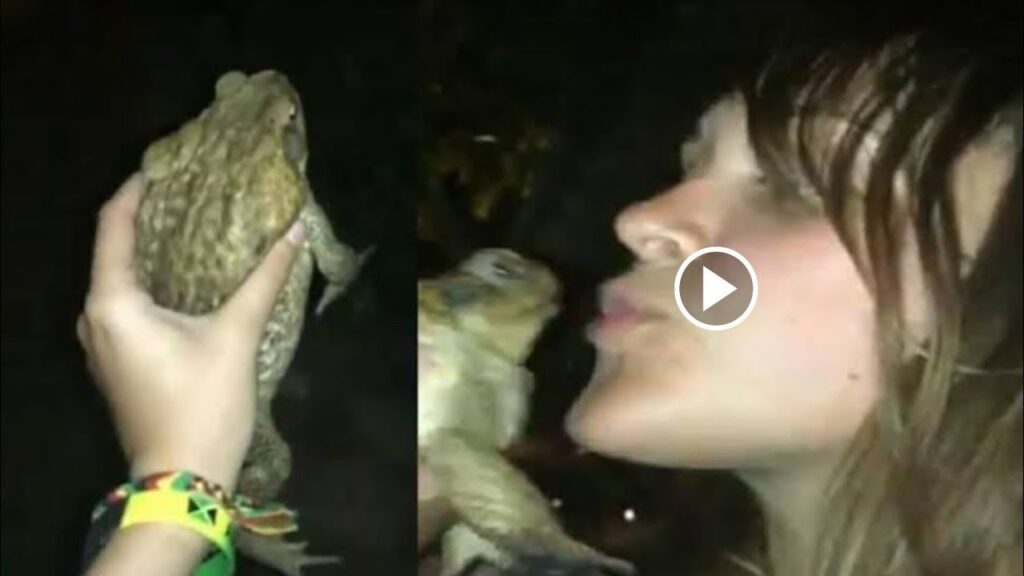 Frog and women full video