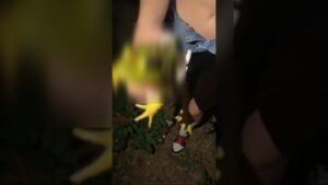 One Girl one Frog Redit and twitter viral video