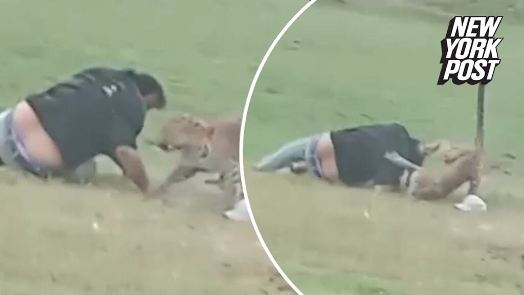 VIDEO: Leopard attacks park goer in India