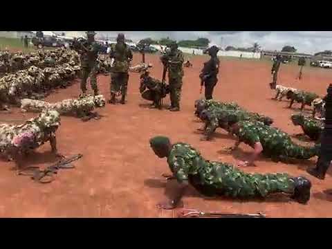 lagbaja army staff video