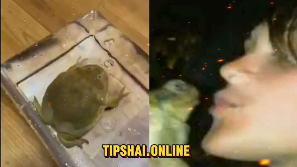 one girl one frog viral video