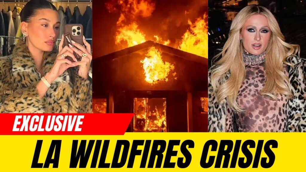 Paris Hilton Malibu house burns in wildfire video