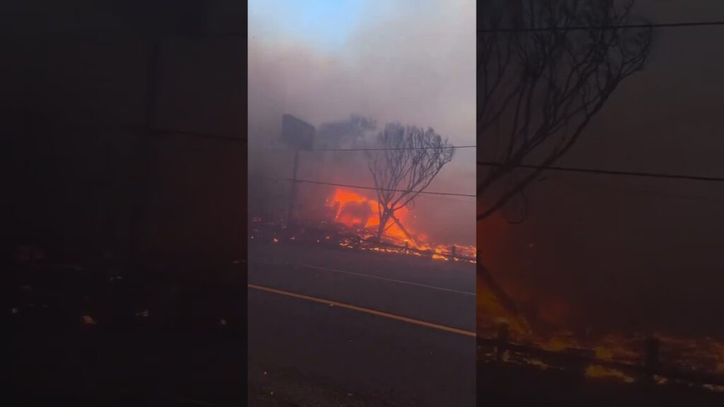 Wildfire in Malibu California Palisades