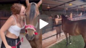 Aida Victoria Merlano Video Caballo en Twitter: ¿Es Real el Clip Viral?