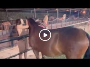 Aida victoria merlano viral horse video