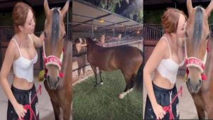 Aída Victoria Merlano horse video leaked in twitter