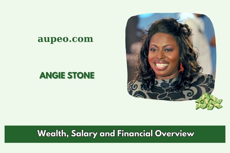 Engi Stone Wealth, Salary and Financial Review