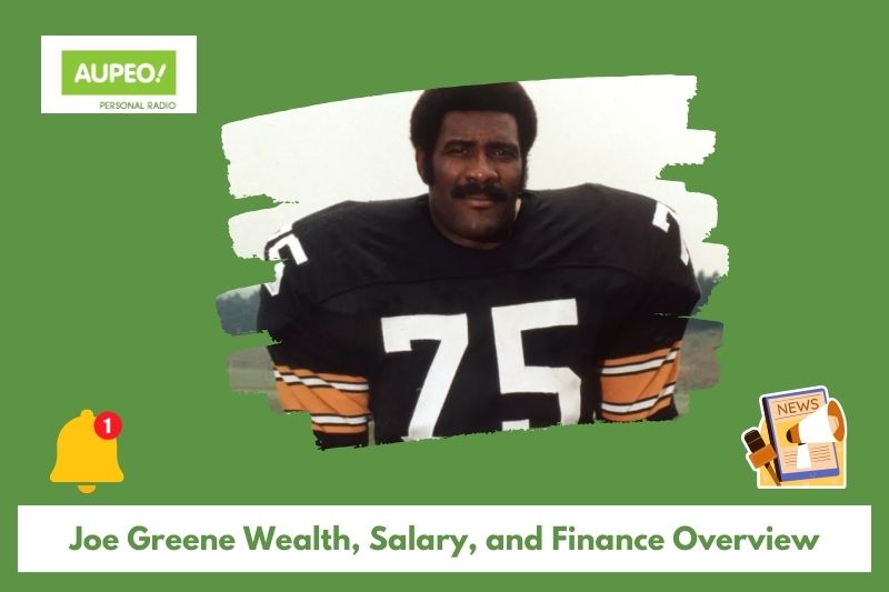 Joe Green's wealth, salary and finance review