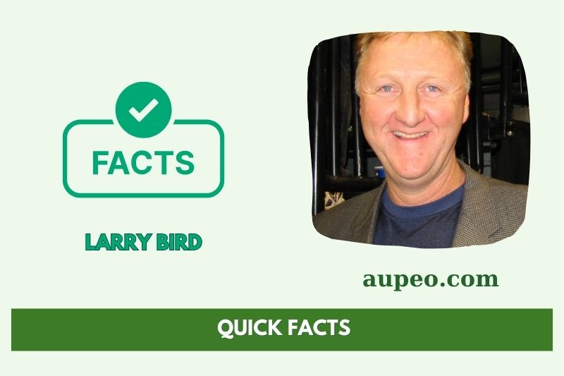 The rapid facts of the gel bird