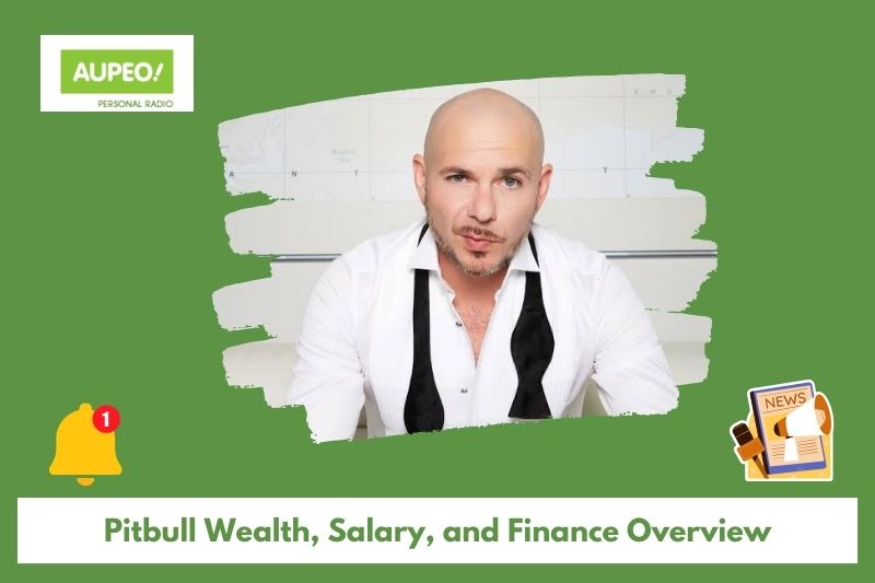 Pitbull wealth, salary and finance review