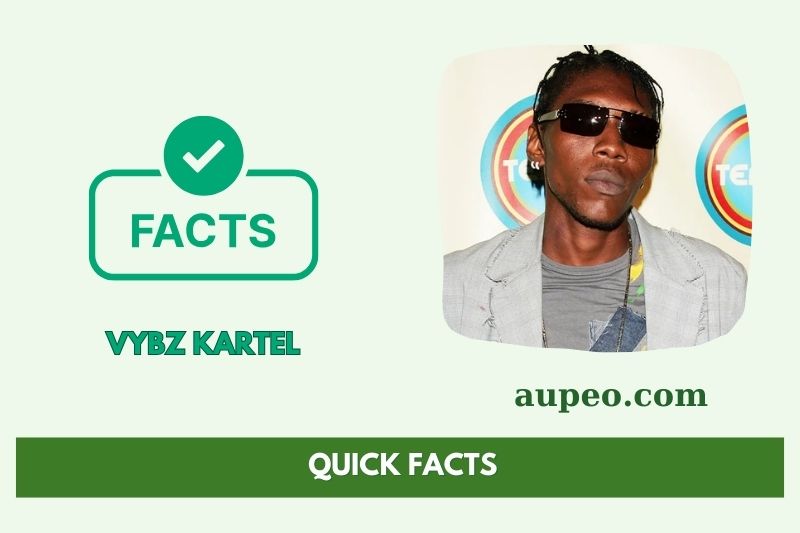 Vybz Kartel Fast Facts