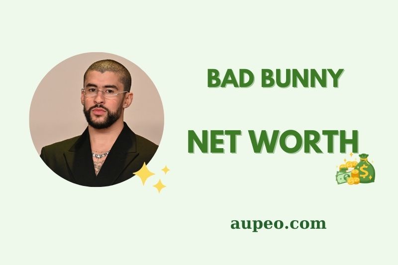 Bad Bunny Wealth, Salary and Financial Overview