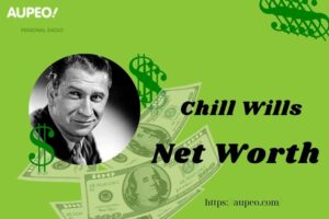 What is Chill Wills Net Worth 2025 Salary Wealth Career Earnings