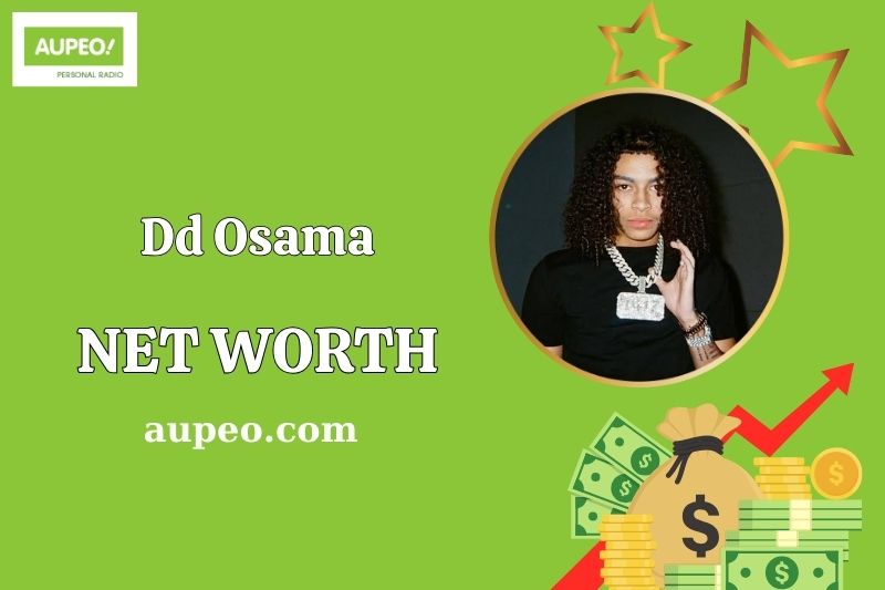 DD Osama Wealth, Salary, and Financial Overview