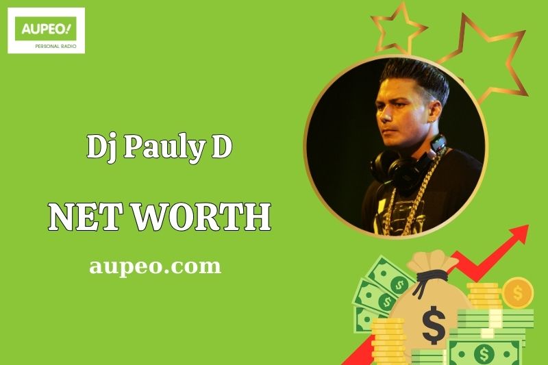 Dj Pauly D Wealth, Salary, and Financial Overview