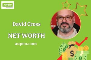 David Cross Wealth, Salary, and Financial Overview