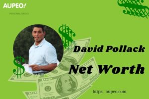 David Pollack Wealth, Salary and Finance Overview