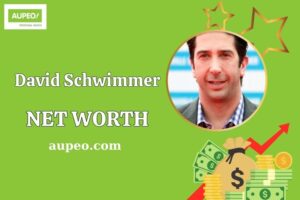 David Schwimmer Wealth, Salary, and Financial Overview