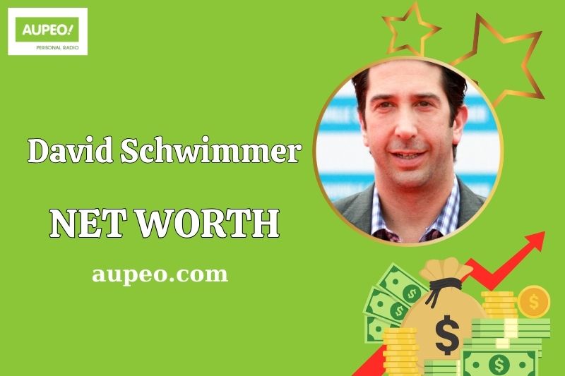 David Schwimmer Wealth, Salary, and Financial Overview