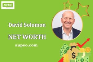 What is David Solomon Net Worth 2025: Salary, Wealth and Financial Insights