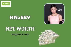 Halsey Wealth, Salary and Financial Overview