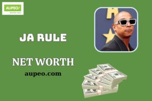 Ja Rule Wealth, Salary and Financial Overview