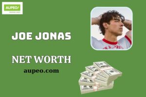 Joe Jonas Wealth, Salary and Financial Overview