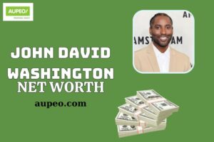 John David Washington Wealth, Salary and Financial Overview