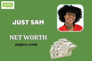 Just Sam Wealth, Salary and Financial Overview