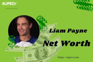 What is Liam Payne Net Worth 2025 Salary Wealth Career Earnings