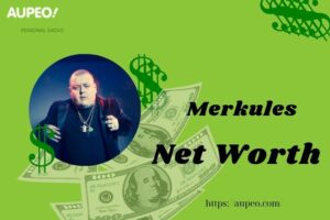 Merkules Wealth, Salary and Finance Overview