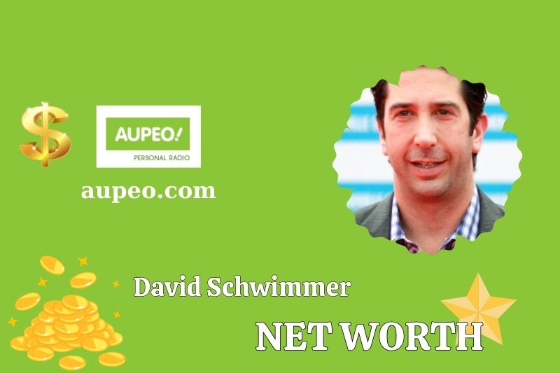 What is the net value of David Schwimer in 2025