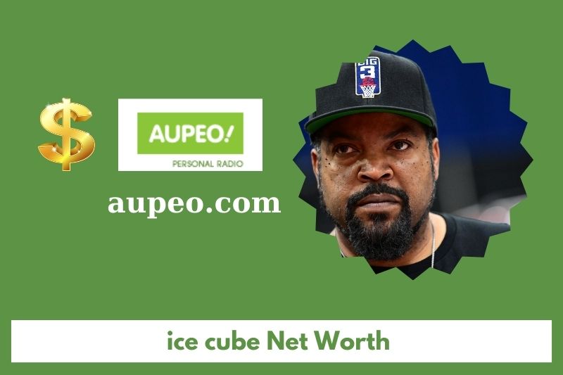 What is the purely value of the ice cube in 2025