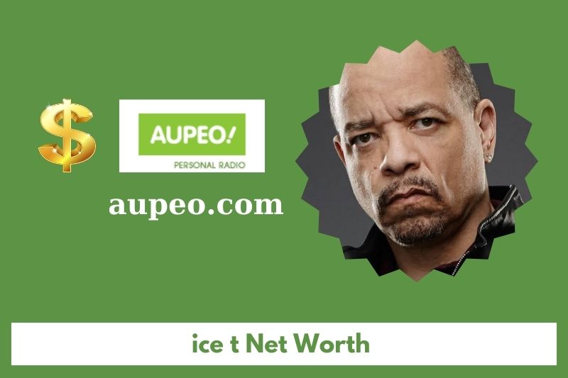 What is the net value of the ice T in 2025