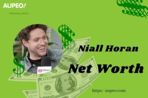 What is Niall Horan Net Worth 2025 Salary Wealth Career Earnings