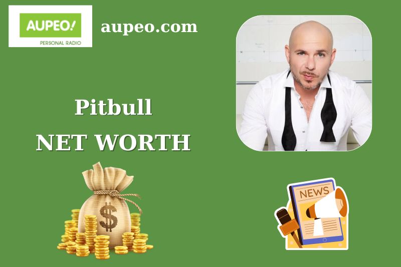 Pitbull Wealth, Salary, and Finance Overview