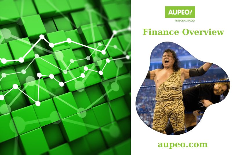 Jimmy Snuka's Financial Review