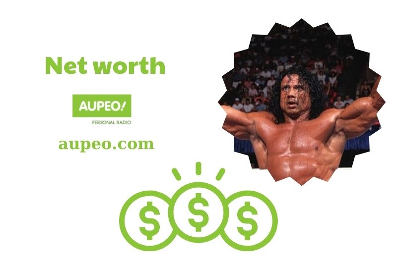 What is Jimmy Snuka's net value in 2024