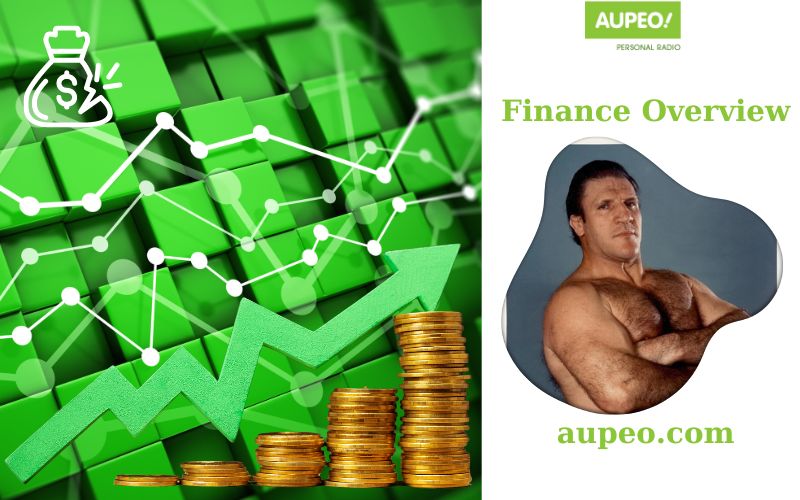 Bruno Sammartino Financial Review