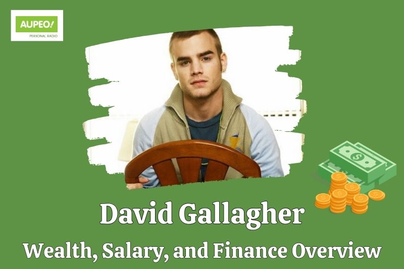 David Gallager's wealth, salary and financial review