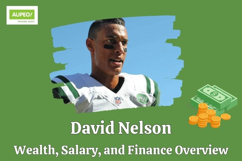 David Nelson's wealth, salary and financial review