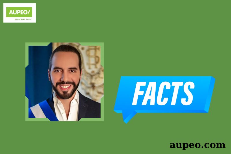 Nayib Bukele Fast Facts