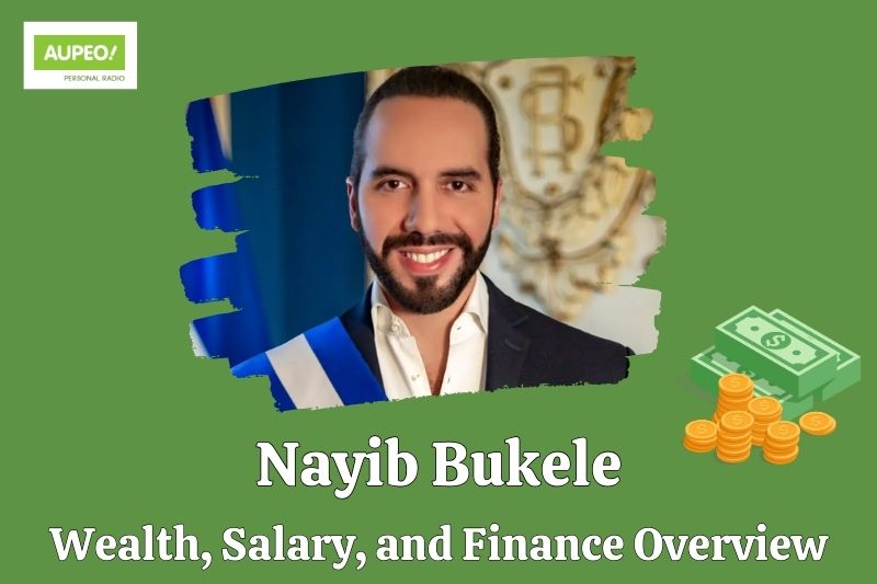 Nayib Bukele Wealth, Salary and Financial Review