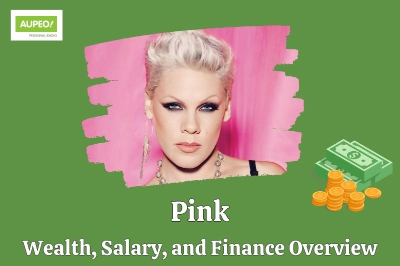 Pink wealth, salary and financial review