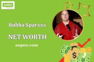 Bubba Sparxxx Wealth, Salary, and Financial Overview