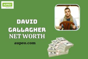 David Gallagher Wealth, Salary and Financial Overview