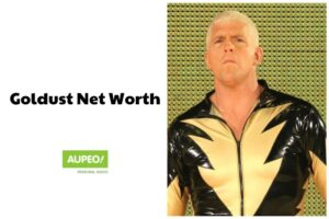 Goldust Championships and Achievements